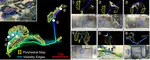 Air-FAR: Fast and Adaptable Routing for Aerial Navigation in Large-scale Complex Unknown Environments